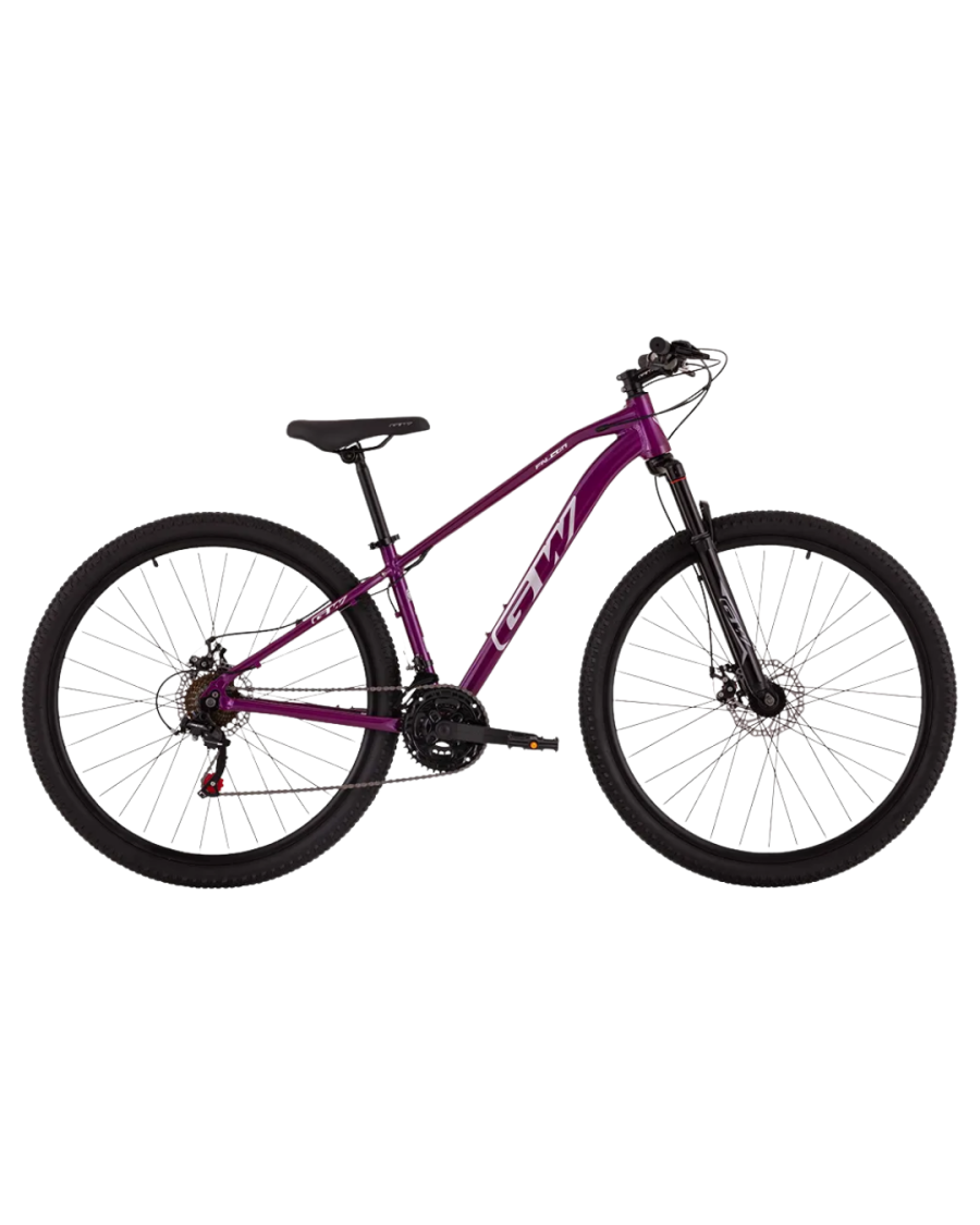 Bicicleta Gw Falcon - Rin 29