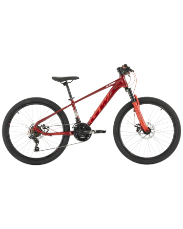 BICICLETA GW LYNX - RIN 24