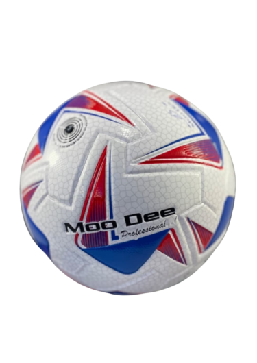BALON DE FUTBOL N5 - N4 / GOLERO